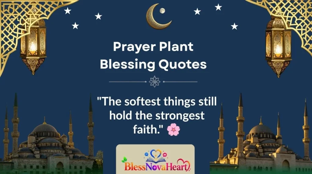 Prayer Plant Blessing Quotes