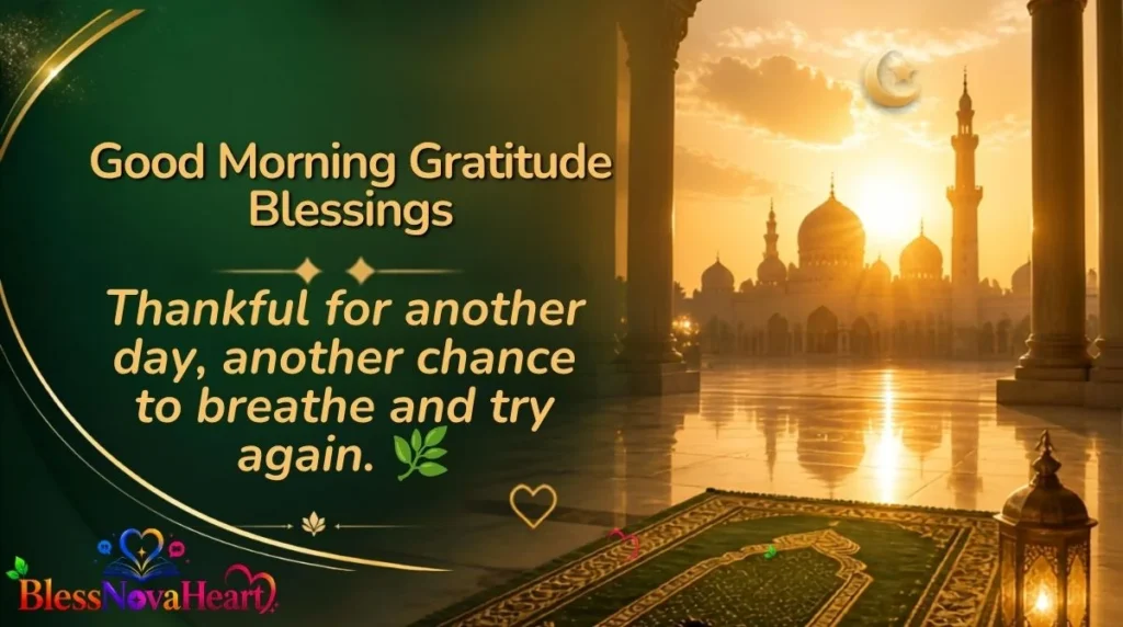 Good Morning Gratitude Blessings