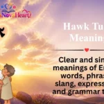 Hawk Tuah Meaning